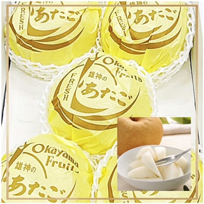 【発送月固定定期便】岡山県産 フルーツ定期便全6回【配送不可地域：離島・北海道・沖縄県】