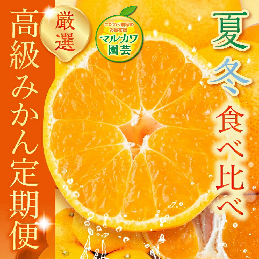 【ふるさと納税】高級みかん 食べ比べ定期便 全2回 冬 夏 みかん 食べ比べ 高級 甘い ハウスみかん ミカン 蜜柑 mikan 人気 定期便 フルーツ 果物 旬 くだもの 贈答 蜜ツ丸 蜜ツ星 ハウスミカン 夏みかん 冬みかん 旬の果物 愛知県 豊橋市