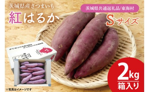 【数量限定】紅はるかSサイズ2kg箱【茨城県共通返礼品/東海村】新さつまいも 新芋 さつまいも サツマイモ 芋 いも 焼き芋 やきいも 紅はるか べにはるか おやつ ヘルシー 食物繊維 腸活 高評価 
