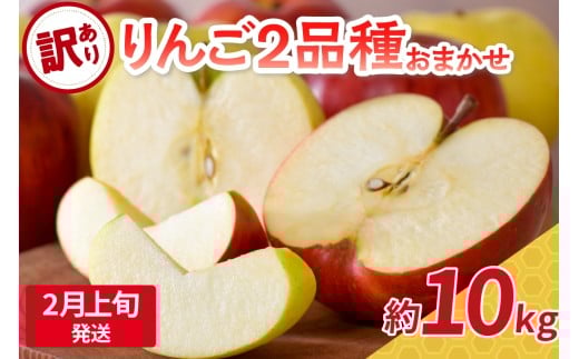 【2026年2月上旬発送】 【訳あり】 旬の美味しい りんご 約10kg 青森産 【おまかせ2品種】
