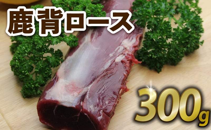 
            鹿背ロース 300g ジビエ 鹿肉 鹿 赤身 冷凍 京都府
          