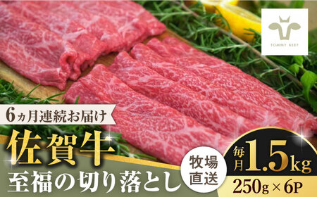 【牧場直送】【全6回定期便】佐賀牛至福の切り落とし 計9kg（250g×6袋×6回） / 佐賀県 / 有限会社佐賀セントラル牧場 [41ASAA027]