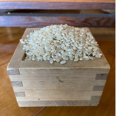 ふるさと納税 大和高田市 【毎月定期便】お米　ヒノヒカリ　(玄米)　10kg×全3回 |  | 01