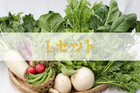 定期便　３カ月　信州北八ヶ岳からお届け～ちいさな畑セット～（Lサイズ　３～４人前）有機野菜〔NK-02-3〕