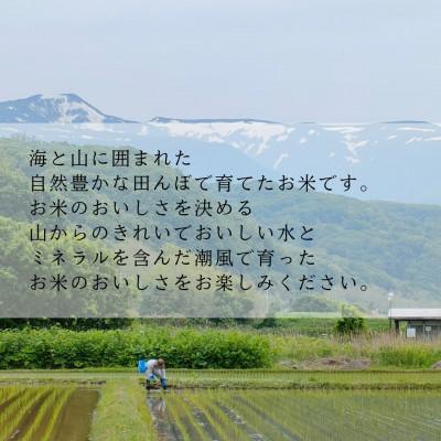 ふるさと納税 島牧村 【毎月定期便】ゆめぴりか 白米5kg全3回 |  | 01