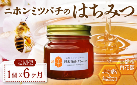 【定期便】 ニホンミツバチのはちみつ 300g×6回 | 蜂蜜 はちみつ ハチミツ 百花蜜