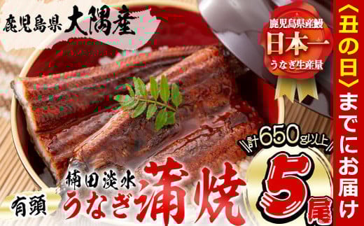 【丑の日までに配送】楠田の極うなぎ 蒲焼き130g以上×5尾(650g以上) c0-092-us