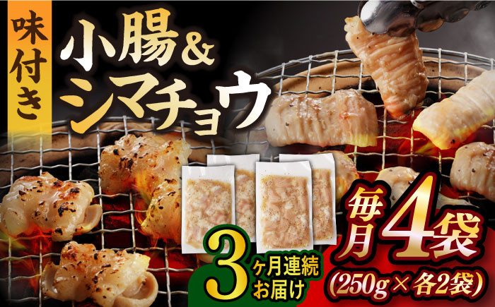 
            【全3回定期便】【塩だれ】 九州産和牛 ホルモン 2種 計1kg（ シマチョウ 250g×2袋・ 小腸 250g×2袋） 長与町/岩永ホルモン [EAX147] ホルモン焼き 国産 牛肉 ホルモン ミックス 小分け 味付き 冷凍 焼肉 焼き肉 和牛 塩 しお 牛 定期便 ていきびん 定期
          