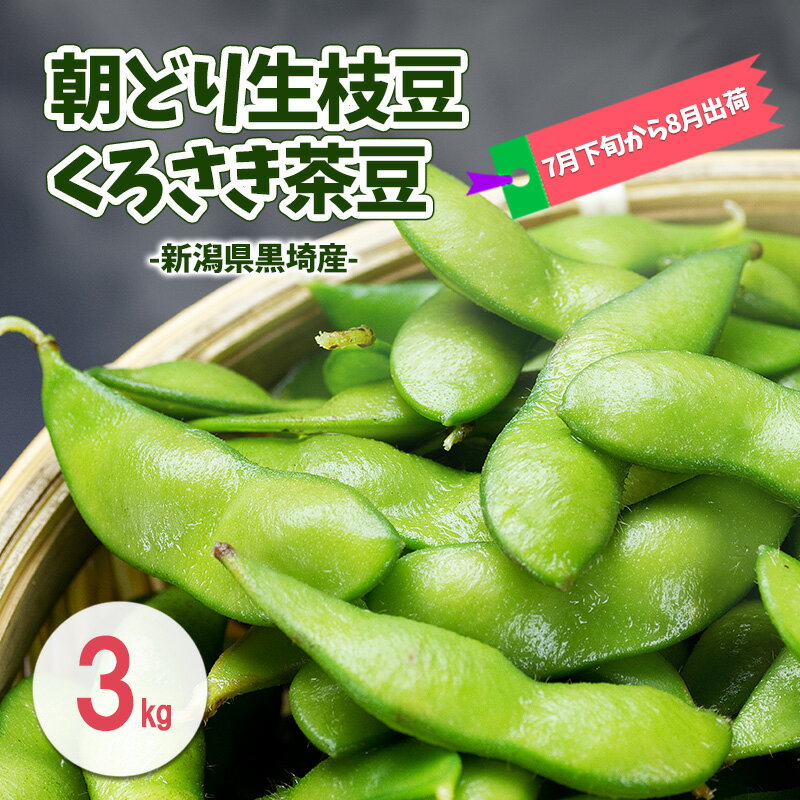 【ふるさと納税】朝どり生枝豆 くろさき茶豆3kg 新潟県黒埼産 新潟市 枝豆 えだまめ えだ豆 茶豆　お届け：2026年7月下旬～9月下旬