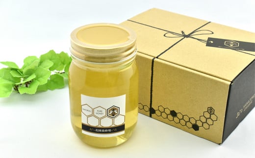 
国産天然蜂蜜　極上あかしあ500ｇ 　【11218-0013】
