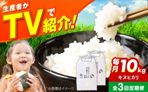 【全3回定期便】お米 10キロ 米 お米 白米 コメ おこめ 10kg 大阪府高槻市/ベジ彩ファーム [AOEJ011]