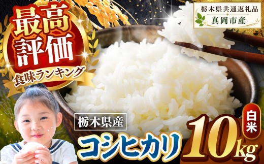 栃木県産 こしひかり 白米 10kg 2026年  新米 | 栃木県 矢板市