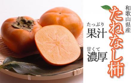＜10月より発送＞たねなし柿 約2.5kg［刀根早生・平核無柿（ひらたねなしかき）］［カキ・種無柿・種無し柿・種なし柿・無核柿］［IKE95］柿柿柿柿柿