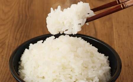 【6ヶ月定期便】無洗米 食味鑑定士厳選 夢つくし 10kg （5kg×2袋） お米 米 白米 食品 ご飯 飯 6ヶ月 定期便 5kg 2袋