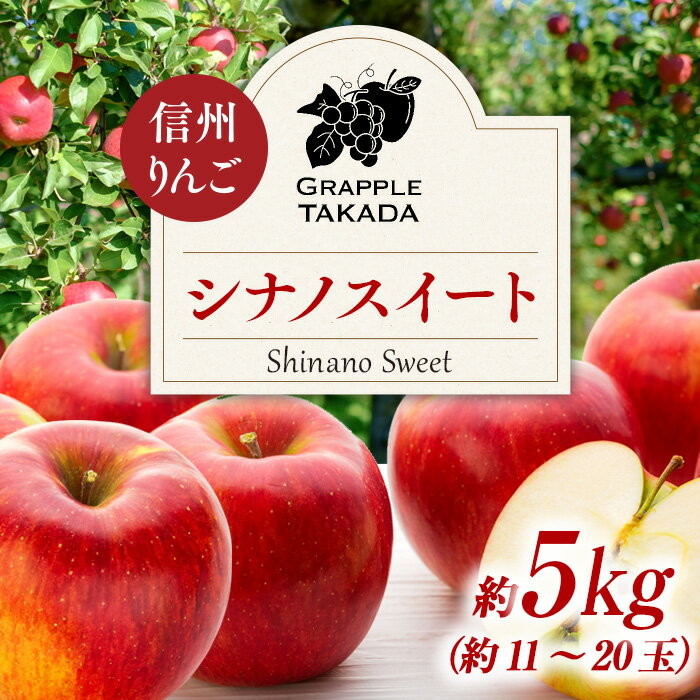 【ふるさと納税】信州りんご シナノスイート 5kg ※クレジット決済限定 りんご リンゴ 林檎 長野 フルーツ 果物 信州産 長野県産 特産 産地直送 おすすめ 　お届け：2025年10月中旬～10月下旬