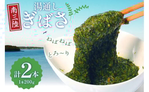 海藻 あかもく 湯通し ぎばさ 2本 セット [南三陸さんさんマルシェ 宮城県 南三陸町 m304amh600082] 冷凍 国産 アカモク