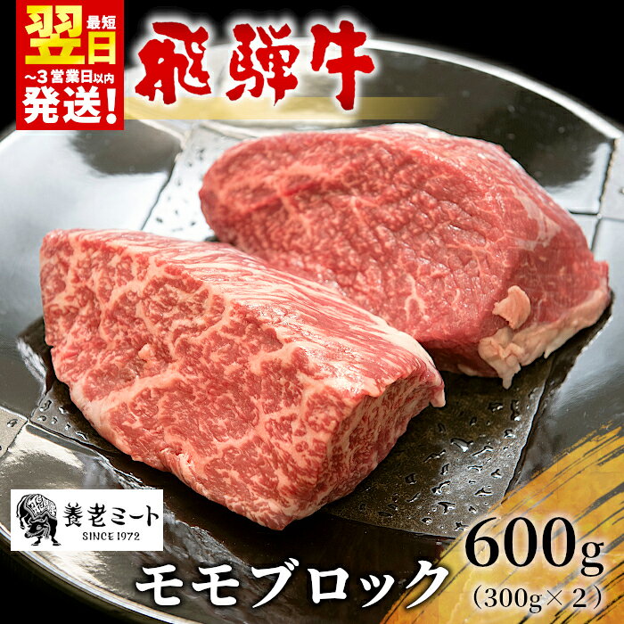 【ふるさと納税】 飛騨牛 モモブロック ローストビーフ 600g 300g×2 牛肉 和牛 肉 焼肉 ステーキ 赤身 赤身肉 牛 鉄板焼き お祝い 贈答 ギフト 贈り物 ふるさと納税 東白川村 岐阜 贅沢 モモ もも肉 養老ミート 最速発送