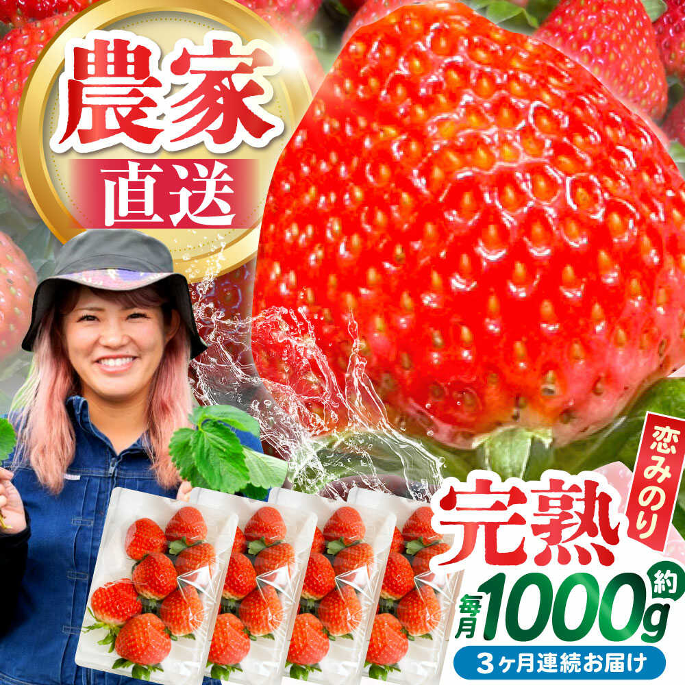 【ふるさと納税】【2026年2月 初回発送】【3回定期便】南島原産 いちご 「恋みのり」約260g×4P / イチゴ いちご イチゴ いちご いちご イチゴ いちご 苺 フルーツ 果物 / 南島原市 / あゆみfarm [SFF003]