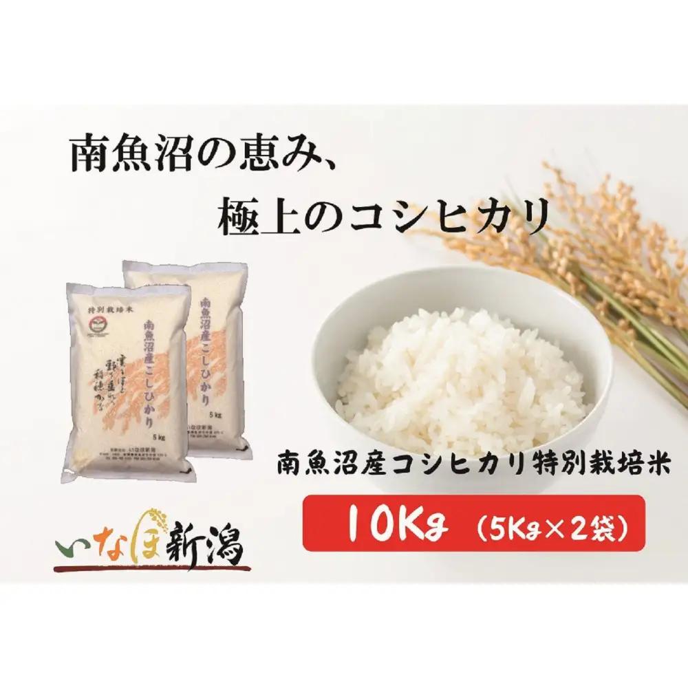 令和7年産 南魚沼産コシヒカリ特別栽培米 白米 10kg(5kg×2)【銘柄米 ブランド米 精米 こしひかり コシヒカリ 魚沼産 新潟米 産地直送 お米 米 こめ コメ ご飯 御飯 ごはん】