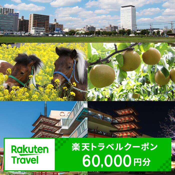 【ふるさと納税】 神奈川県海老名市の対象施設で使える楽天トラベルクーポン 寄附額200,000円 【 60,000円分 トラベルクーポン 楽天トラベル 食事 旅行 宿泊 観光 お土産 ご褒美 休暇 遊び 神奈川県 海老名市 】