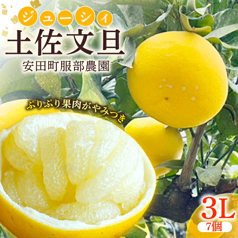 【ふるさと納税】 はっとりさんちの農園で育てた 土佐文旦 (3Lサイズ7個) 3Lサイズ 大玉 ぶんたん 柑橘 土佐文旦 旬 常温 果汁 デザート サラダ ジャム マーマレード ギフト お歳暮 贈答 ふるさと納税 土佐文旦 高知県 安田町 HT0010