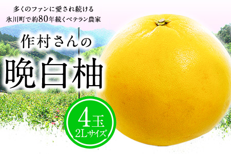 作村果樹園の晩白柚 4玉(2Lサイズ) 《12月下旬-1月末頃出荷》果物 フルーツ ザボン 熊本 特産品