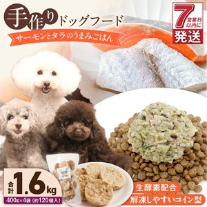 1cofood 手作りドッグフード サーモンとタラのうまみごはん 400g×4袋 〔Pf018〕