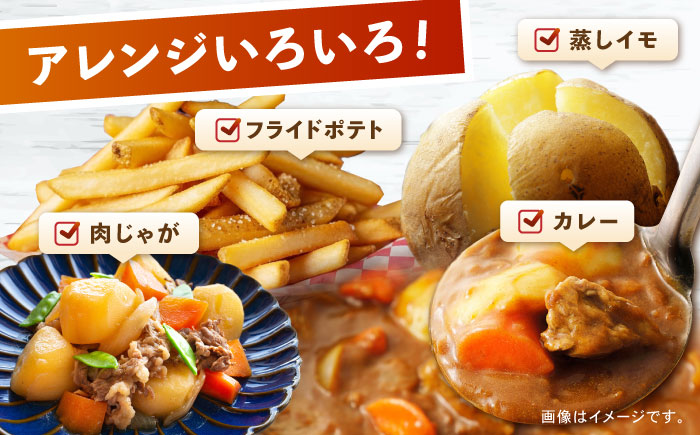 じゃがいも アイユタカ 10kg (S～2Lサイズ/約50～60個) / じゃがいも ジャガイモ ポテト 九州 あいゆたか アイユタカ 野菜 やさい / 諫早市 / スマイルファーム　 [AHFG00