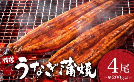 ＜2026年5月配送＞うなぎ蒲焼き 800g (200g×4尾) ／ 国産 蒲焼き 長焼き ウナギ 鰻 蒲焼 冷凍 贈答 うなぎ