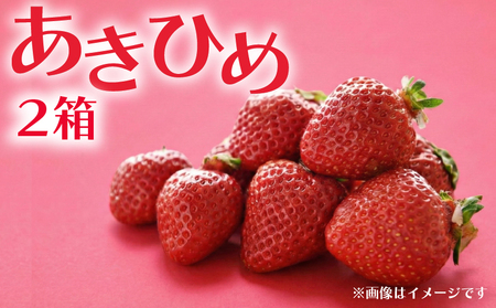 いちご 章姫 2箱 計700g | イチゴ 苺 あきひめ