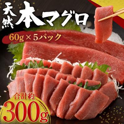 ふるさと納税 室戸市 お刺身ちょこっとパック　天然本まぐろ赤身5パック【アイルランド産天然本鮪 訳あり 規格外】