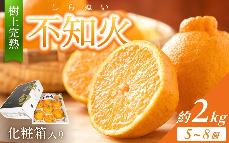 
                  【贈答用化粧箱入】 不知火 樹上完熟 約2kg （5～8個入）【2027年2月下旬頃～3月下旬頃発送】  / 不知火 しらぬい みかん 柑橘 和歌山 かつらぎ 贈答用 甘い 化粧箱
                