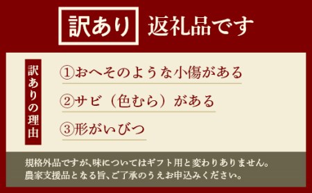 FYN9-598 【農業者支援】《先行予約》ご家庭用 2024年 山形県産西洋梨 ラ･フランス5kg 2024年11月上旬から順次発送 洋梨 洋なし ラフランス 秋果実 果物 くだもの フルーツ 訳あ