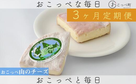 【ふるさと納税】おこっぺ山のチーズ2個 3ヶ月定期便【22025】
