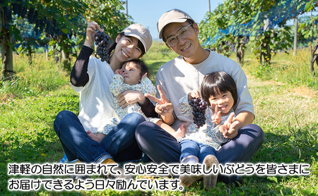 芽実農園のぶどうジュース(はちみつぶどう100％) 720ml×6本 青森県鶴田町産はちみつぶどう使用 果汁飲料 野菜飲料 ブドウ 
