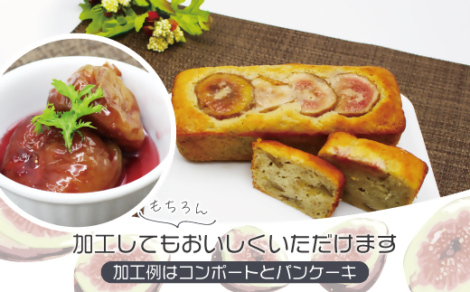 福岡県産いちじく「とよみつひめ」　冷凍パック1kg（500g×2袋）[G2326]
