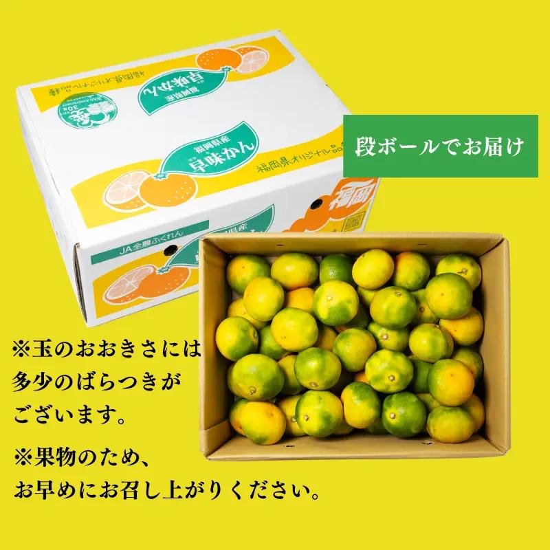 福岡県産 早味かん M・Sサイズ 約4kg以上(40玉-50玉入り)｜みかん 早味かん KBY
