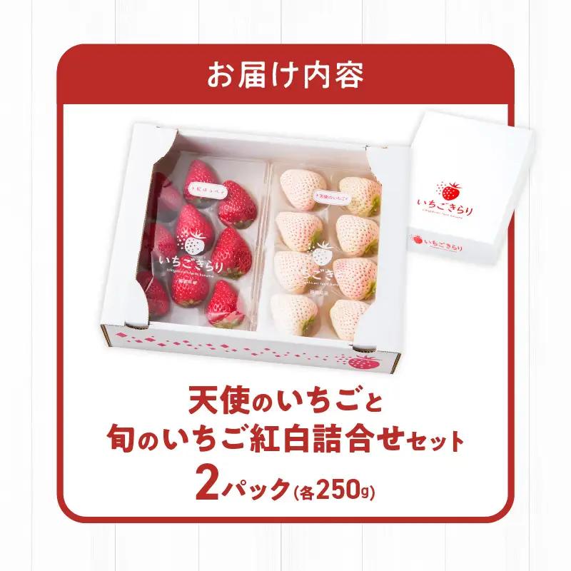 特別栽培 白いちご 天使のいちごと旬のいちご詰め合わせ紅白セット （ふくおかエコ農産物） 約500g _ 旬 いちご 詰め合わせ 紅白セット 2パック入り 約 500g ふくおかエコ農産物 旬のいちご