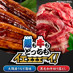 2265 鰻も牛もどっちもイエェェェーイ！セット1 KN050-003-01 うなぎ 本格 鰻 ウナギ 蒲焼 冷凍 湯煎 レンジ 解凍 簡単調理 鰻丼 鰻重 ひつまぶし 土用の丑 黒毛和牛 和牛 牛肉 肉 国産 小分け 切り落とし 炒め物 牛丼 nixy 中山亭 鹿屋店 ふるさと納税 鹿児島 鹿屋市 おすすめ ランキング プレゼント ギフト