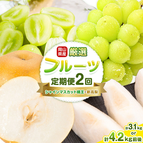 岡山県産 厳選 フルーツ 定期便 2回 シャインマスカット 晴王 新高梨 選べる 計3.1kg前後 計4.2kg前後 株式会社藍《9月上旬-10月下旬頃出荷》 岡山県 浅口市 岡山県産 シャインマスカット 新高梨 梨 旬 フルーツ 果物 くだもの 送料無料 【配送不可地域あり】（北海道・沖縄・離島）