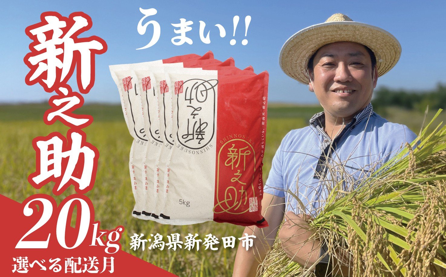 
            【先行予約】 10月発送受付中! 令和7年産 新之助 20kg 5kg×4袋 選べる 配送月 新米 お米 こめ ご飯 ごはん おいしい 新潟 新潟県 米 5kg 20kg 新発田産 新潟産 朝食 昼食 夕飯 炊きたて 精米 ブランド watasho009P
          