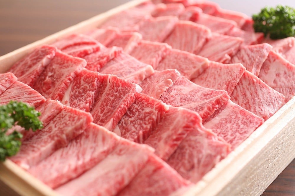 
            【2026年1月より発送】飛騨牛 焼肉霜降り肩ロース300g バーベキュー・焼肉に 牛肉 和牛
          