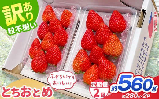 【先行予約】【定期2回】訳あり とちおとめ 約 280g × 2P ｜【栃木県共通返礼品】いちご イチゴ 苺 訳あり 不揃い 粒  フルーツ  果物  ふるさと納税 いちご 栃木県 那珂川町 送料無料