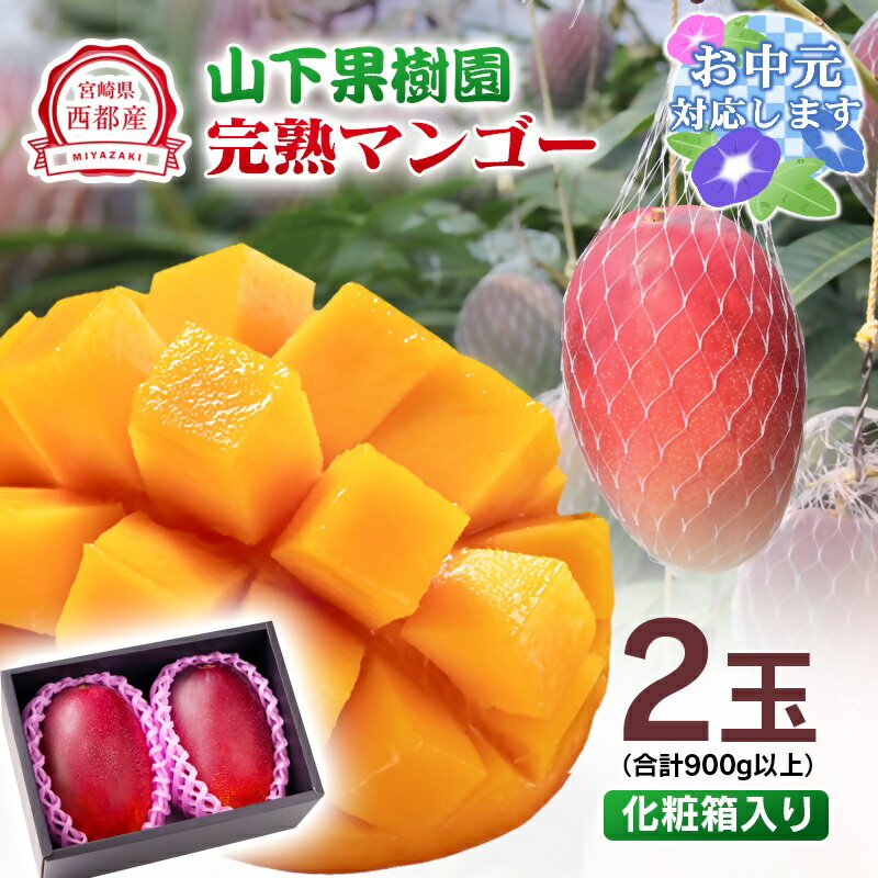【ふるさと納税】山下果樹園 完熟マンゴー「2玉」 900g以上 宮崎県 西都産 化粧箱＜1.8-17＞令和7年収穫分 先行予約 お中元対応可