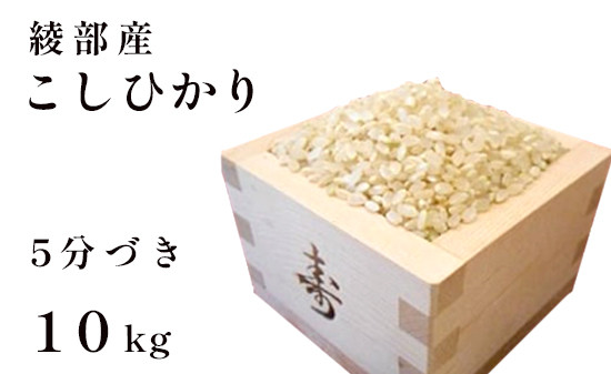 
                  令和7年産 コシヒカリ 10kg 5分づき 精米  国産 京都府産 綾部産 こしひかり お米 米 コメ こめ ごはん
                