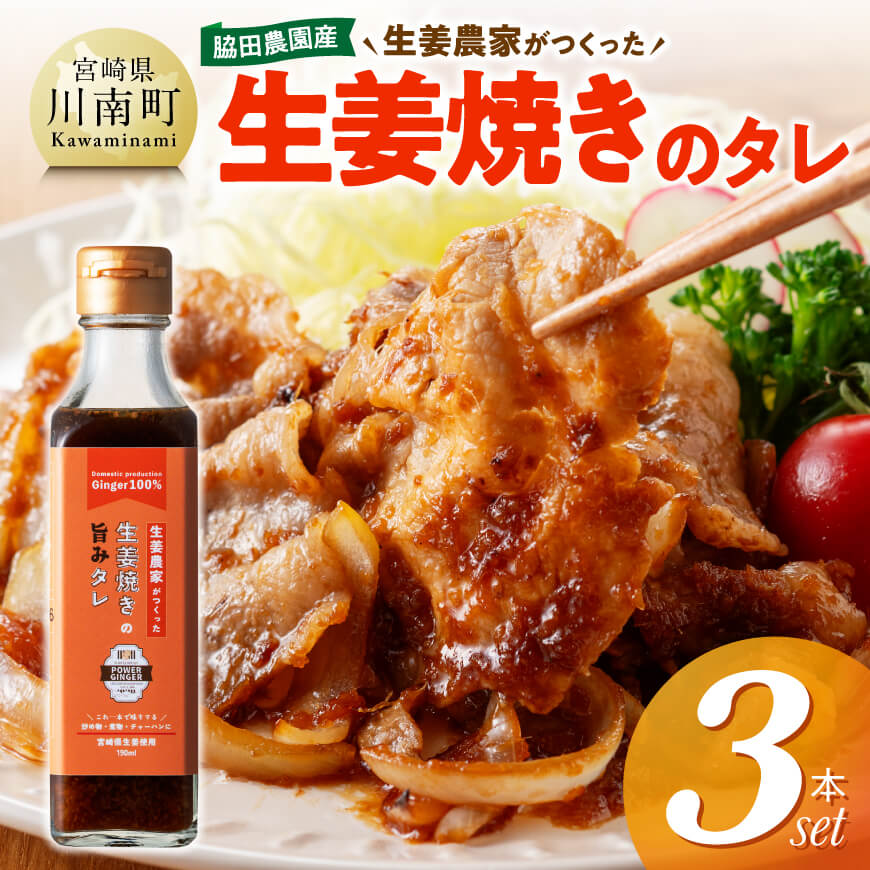 脇田農園産　生姜農家が作った生姜焼きのタレ3本セット 生姜 ショウガ 国産 宮崎県産 九州産 川南町産 農家直送 しょうが 生姜焼きのたれ