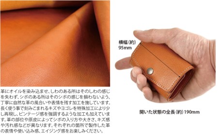 VanNuys マネークリップ的超コンパクトウォレット ビンテージブラック