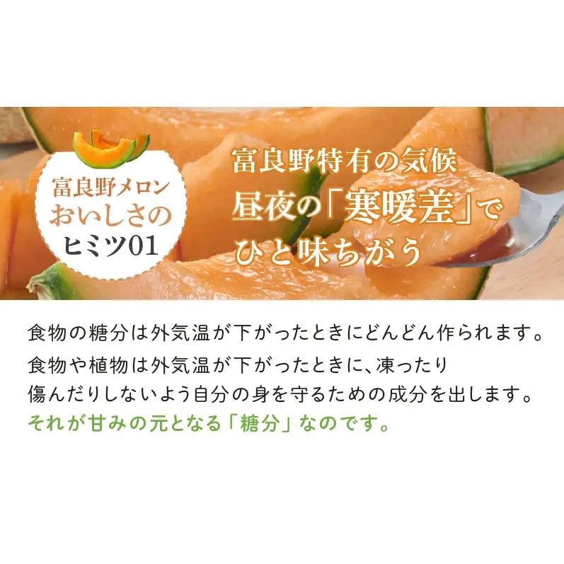 【2026年夏発送】北海道 富良野メロン 5玉 計約8kg メロン 果物 赤肉