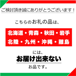 シクラメン フリンジ咲きドリームピンク 6号鉢 | 観葉植物 鉢植え 花 園芸 イリュージア ドラゴン シューベルト ドリームパープル ヨハンシュトラウス クリスマス 贈り物 ギフト 室内インテリア 