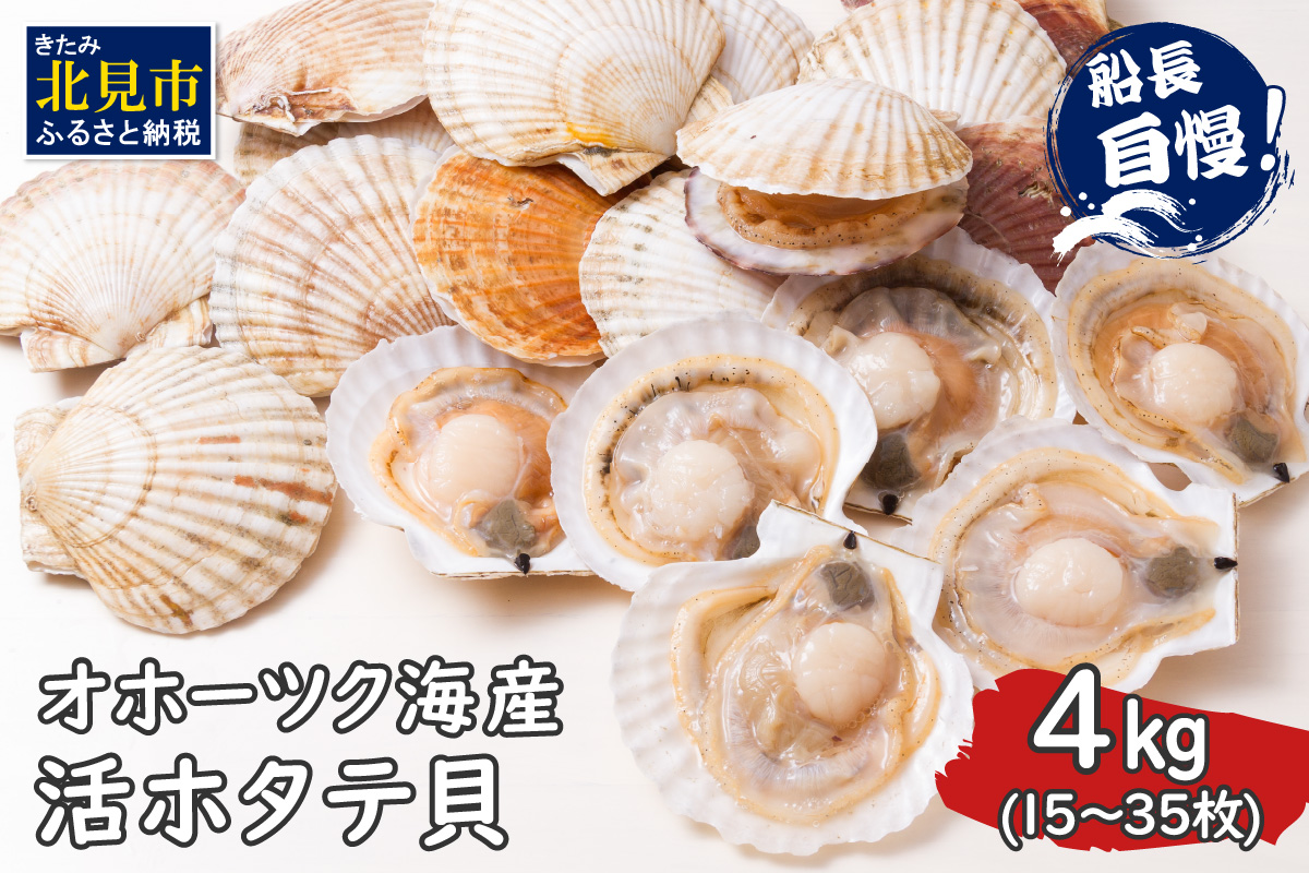 とれたて新鮮！オホーツク海産 活ホタテ貝 4kg 15～35枚 ( 魚介 海鮮 貝 帆立 ほたて ホタテ 4キロ カレー シチュー 肉厚 )【114-0004-2024】